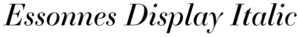 Essonnes Display Italic Font