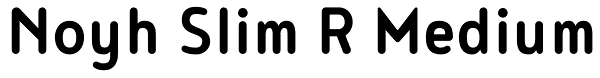 Noyh Slim R Medium Font