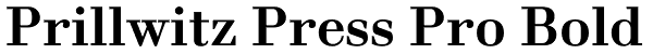 Prillwitz Press Pro Bold Font