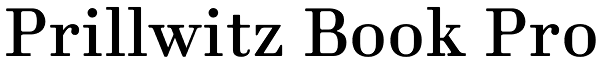 Prillwitz Book Pro Font