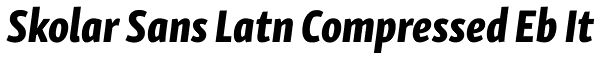 Skolar Sans Latn Compressed Eb It Font