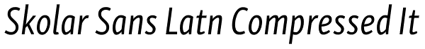 Skolar Sans Latn Compressed It Font