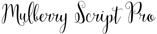 Mulberry Script Pro Font