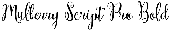 Mulberry Script Pro Bold Font