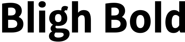 Bligh Bold Font