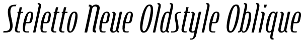 Steletto Neue Oldstyle Oblique Font