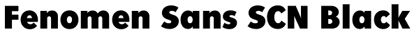 Fenomen Sans SCN Black Font