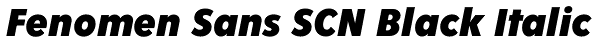 Fenomen Sans SCN Black Italic Font