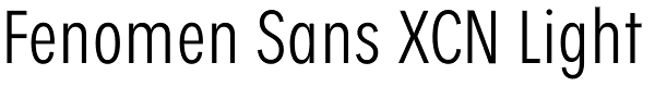 Fenomen Sans XCN Light Font