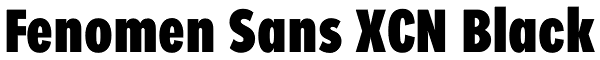 Fenomen Sans XCN Black Font