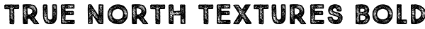 True North Textures Bold Font