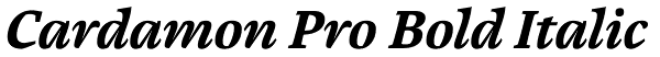 Cardamon Pro Bold Italic Font