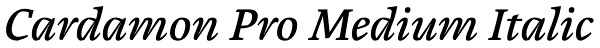 Cardamon Pro Medium Italic Font