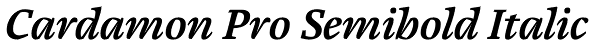 Cardamon Pro Semibold Italic Font