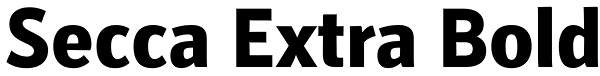 Secca Extra Bold Font