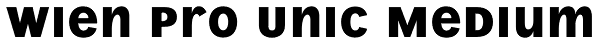 Wien Pro Unic Medium Font