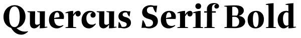 Quercus Serif Bold Font