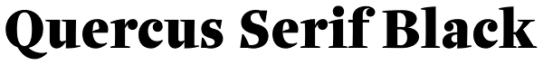 Quercus Serif Black Font