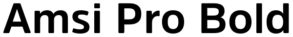 Amsi Pro Bold Font