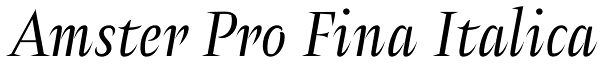 Amster Pro Fina Italica Font