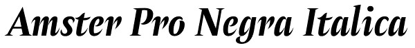 Amster Pro Negra Italica Font