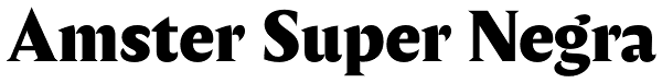 Amster Super Negra Font