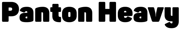 Panton Heavy Font