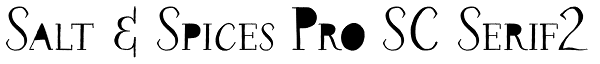 Salt & Spices Pro SC Serif2 Font