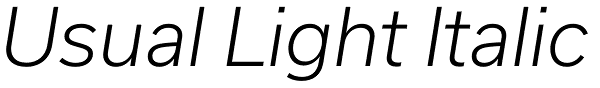 Usual Light Italic Font