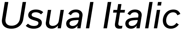 Usual Italic Font