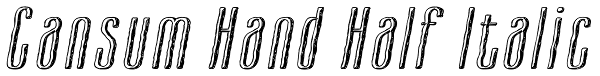 Cansum Hand Half Italic Font