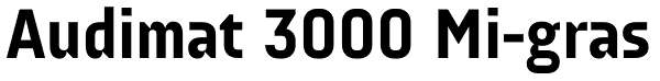 Audimat 3000 Mi-gras Font