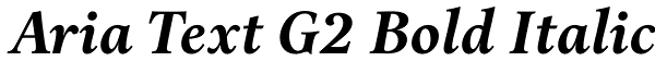 Aria Text G2 Bold Italic Font