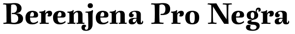 Berenjena Pro Negra Font