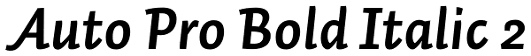 Auto Pro Bold Italic 2 Font