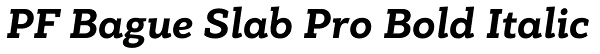 PF Bague Slab Pro Bold Italic Font