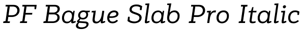 PF Bague Slab Pro Italic Font