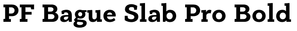 PF Bague Slab Pro Bold Font