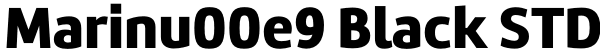 Marinu00e9 Black STD Font