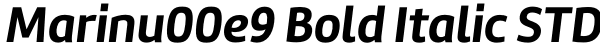 Marinu00e9 Bold Italic STD Font