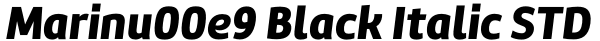 Marinu00e9 Black Italic STD Font