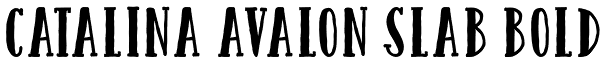 Catalina Avalon Slab Bold Font