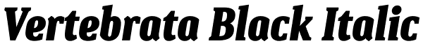 Vertebrata Black Italic Font