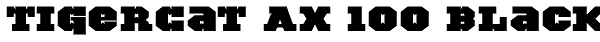 TigerCat AX 100 Black Font