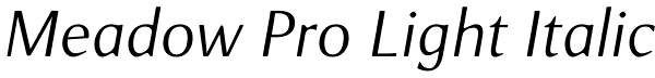 Meadow Pro Light Italic Font