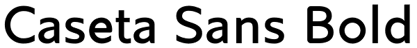 Caseta Sans Bold Font