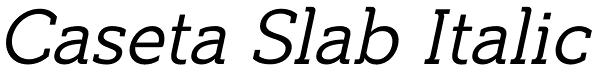 Caseta Slab Italic Font