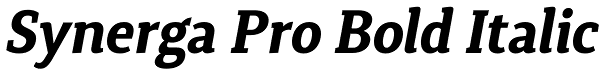 Synerga Pro Bold Italic Font