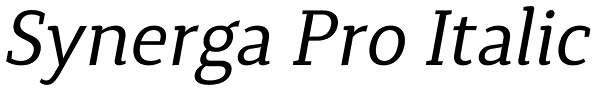 Synerga Pro Italic Font