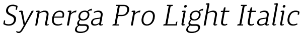Synerga Pro Light Italic Font